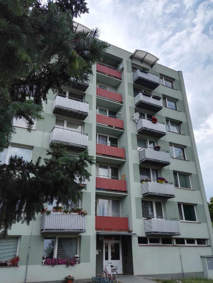 Apartman-Trebon-Centrum エクステリア 写真